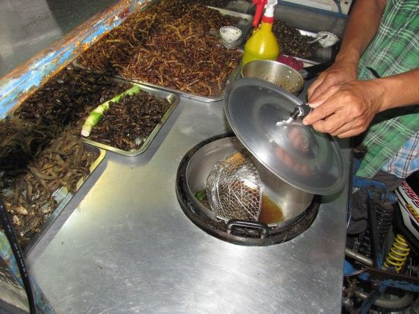 жареные насекомые в таиланде