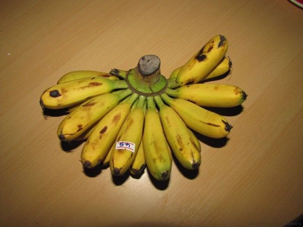 Тайские маленькие полукруглые бананы (белые внутри).