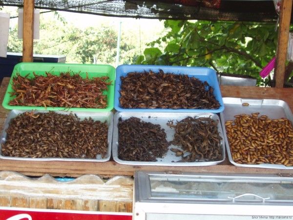 жареные насекомые в Таиланде