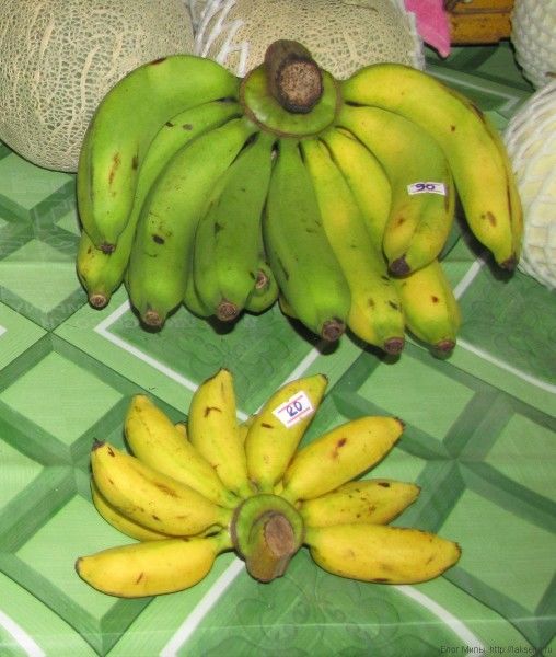 Маленькие полукрулые яйцевидные бананы Kluay Khai