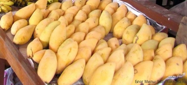 Желтое манго в таиланде