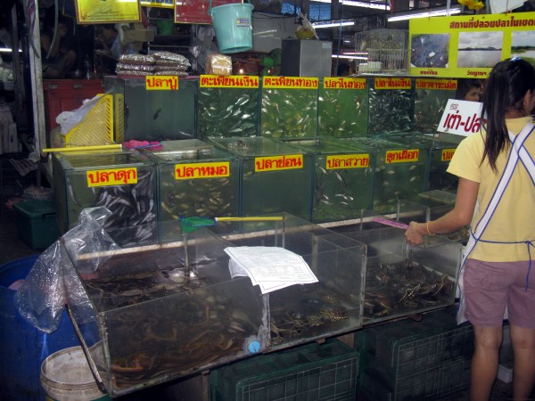 рыба в таиланде