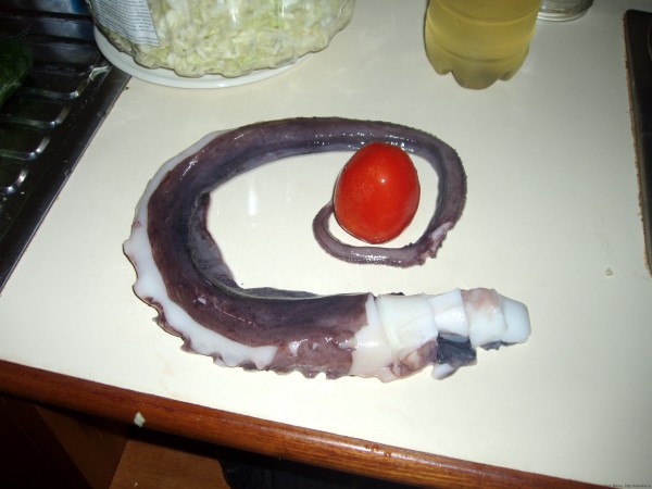 блюда из рыбы и морепродуктов в таиланде осьминог