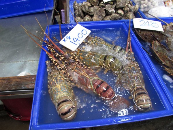 блюда из рыбы и морепродуктов в таиланде лобстер