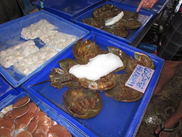 блюда из рыбы и морепродуктов в таиланде краб лошадиная подкова, мечехвост, pimp sea