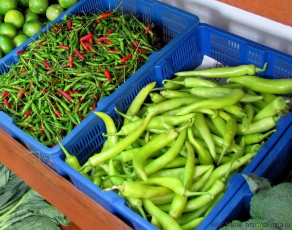 Приправы и овощи тайской кухни (фото) перец чили