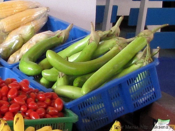 Приправы и овощи тайской кухни (фото) тайский баклажан
