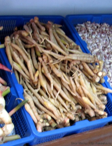 Приправы и овощи тайской кухни (фото) крачай