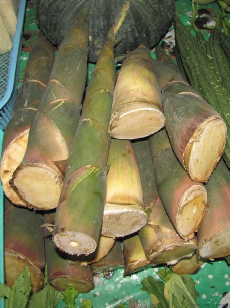 овощи тайской кухни побеги бамбука