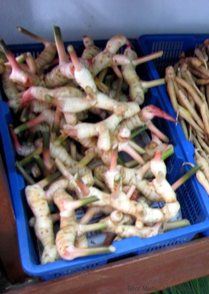 Приправы и овощи тайской кухни (фото) галангал