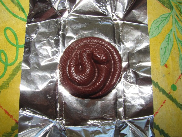 Шоколад своими руками - Шоколадная змея