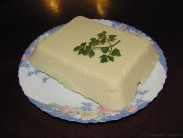 козий сыр в домашних условиях из творога