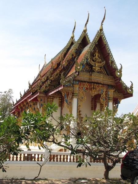 плюмерия в таиланде лилавади храмовое дерево