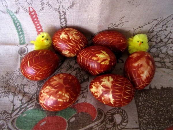 крашеные яйца с листочками в луковой шелухе