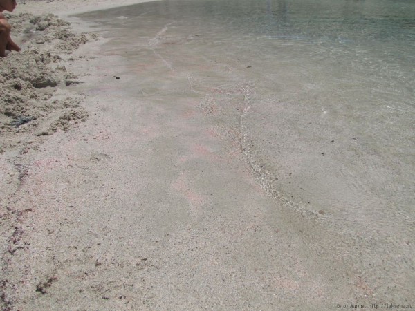 Экскурсия Грамвуса бухта Балос розовый песок