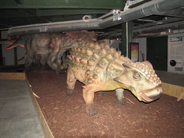 Экскурсии для детей на Крите - Веселое приключение музей природы крита музей естественной истории крита динозавры