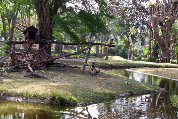 Зоопарк Кхао Кхео остров обезьян