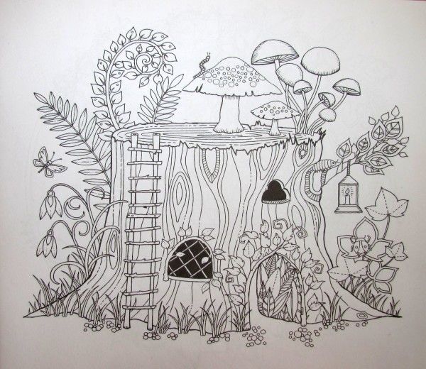 лучшая раскраска для взрослых "Заколдованный лес" (Enchanted forest) от художницы Джоанна Басфорд (Johanna Basford)