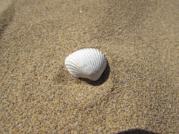 Пляж Лидо ди Езоло золотой песок