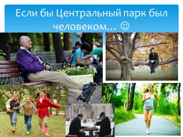 Презентация Центральный парк Новосибирск