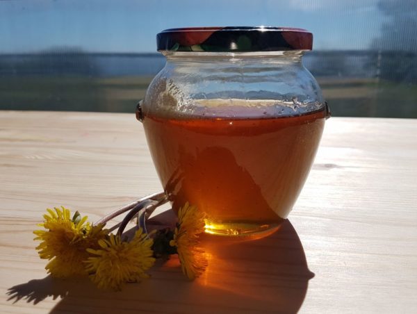 Варенье из одуванчиков или одуванчиковый мед