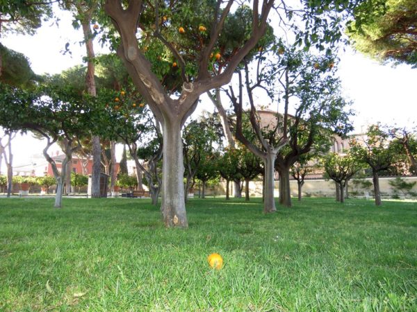 холм авентин Апельсиновый сад на Авентине (Parko Savello)