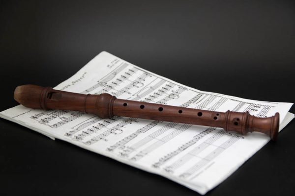 Загадки про музыкальные инструменты флейта блокфлейта
