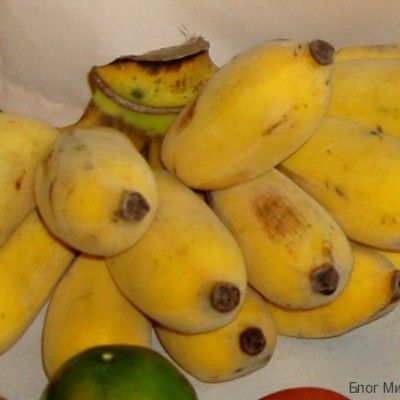 плюшевые тайские бананы kluay nam wa