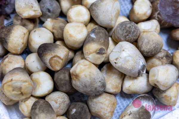 Грибы в Таиланде Соломенный гриб (Вольвариелла съедобная, травяной шампиньон, рисово-соломенный гриб, Хед Фанг)