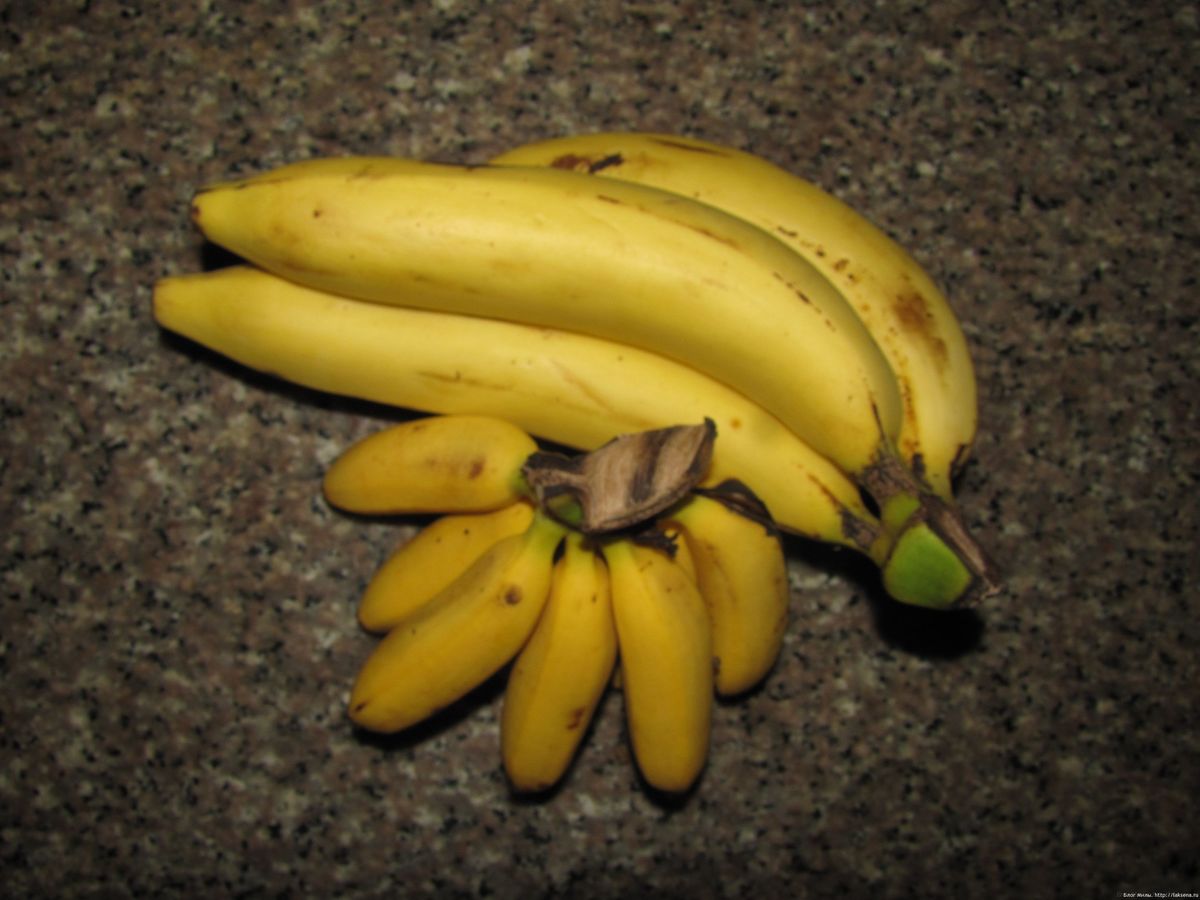 Какие бывают бананы. Тайские бананы. Бананы разновидности. Банан сиамский Рубин. Банан внешность.