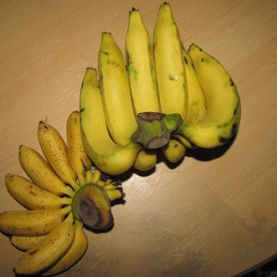 тайские бананы дамский пальчик и яйцевидные