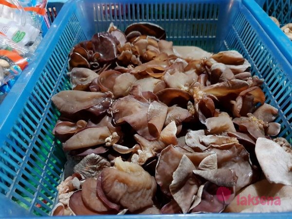 грибы в Таиланде