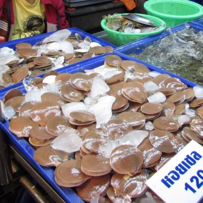 блюда из рыбы и морепродуктов в таиланде гребешки scallop хой шелл