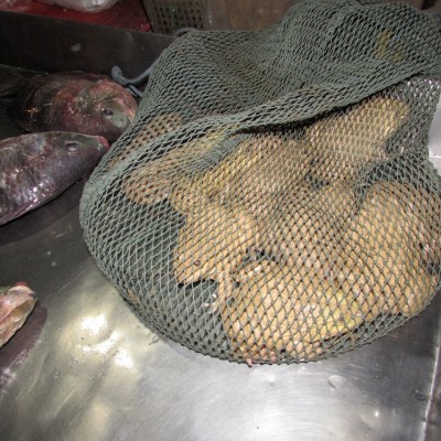 блюда из рыбы и морепродуктов в таиланде лягушки