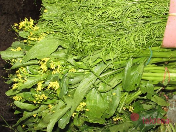 травы в тайской кухне