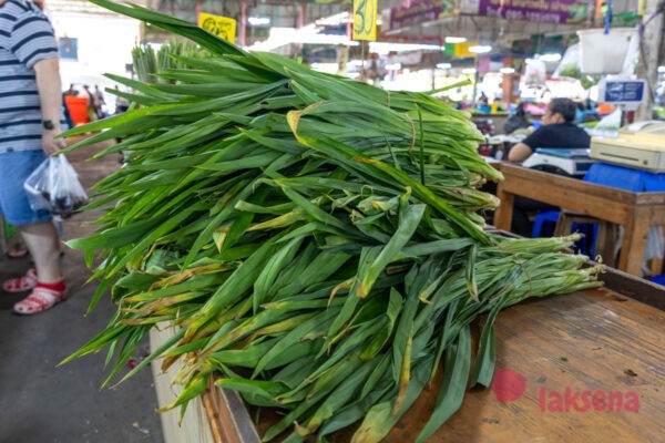 пандан панданус