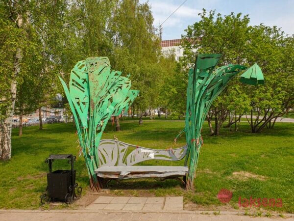 вечнозеленая скамейка