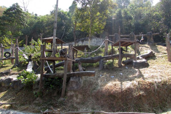 Зоопарк Кхао Кхео гориллы