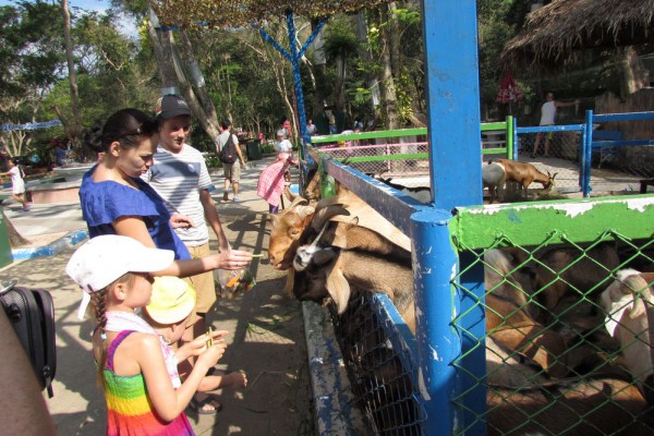 Зоопарк Кхао Кхео козы