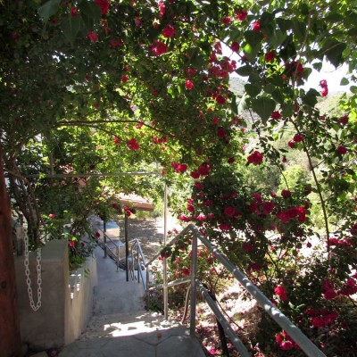 дом роз агрос Гастрономический тур Кипр, или гурмэ-вояж