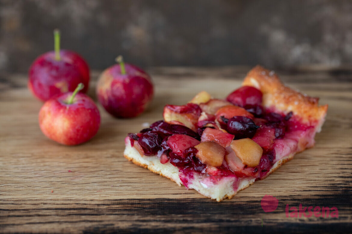 Творожный пирог с крыжовником и яблоками