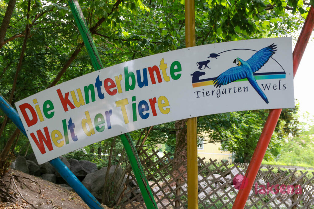 Вельский зоопарк Tiergarten Австрия