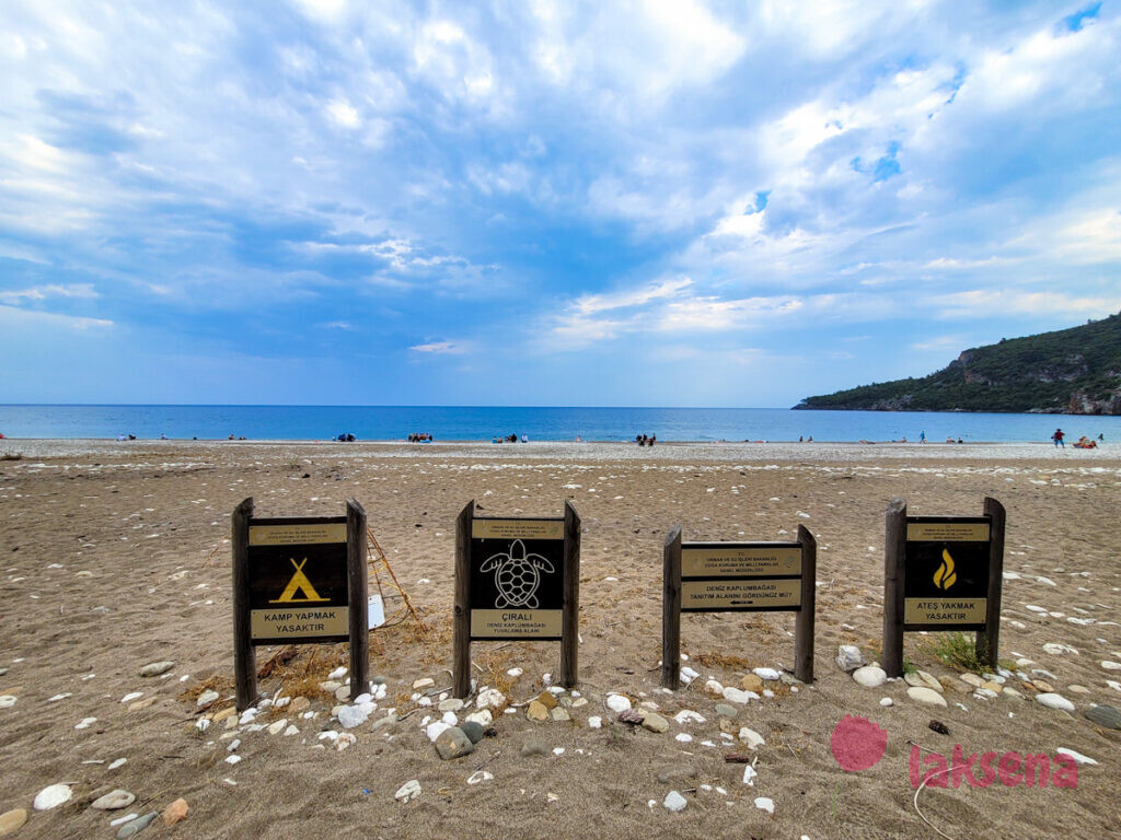 пляж олимпос черепахи каретта-картетта