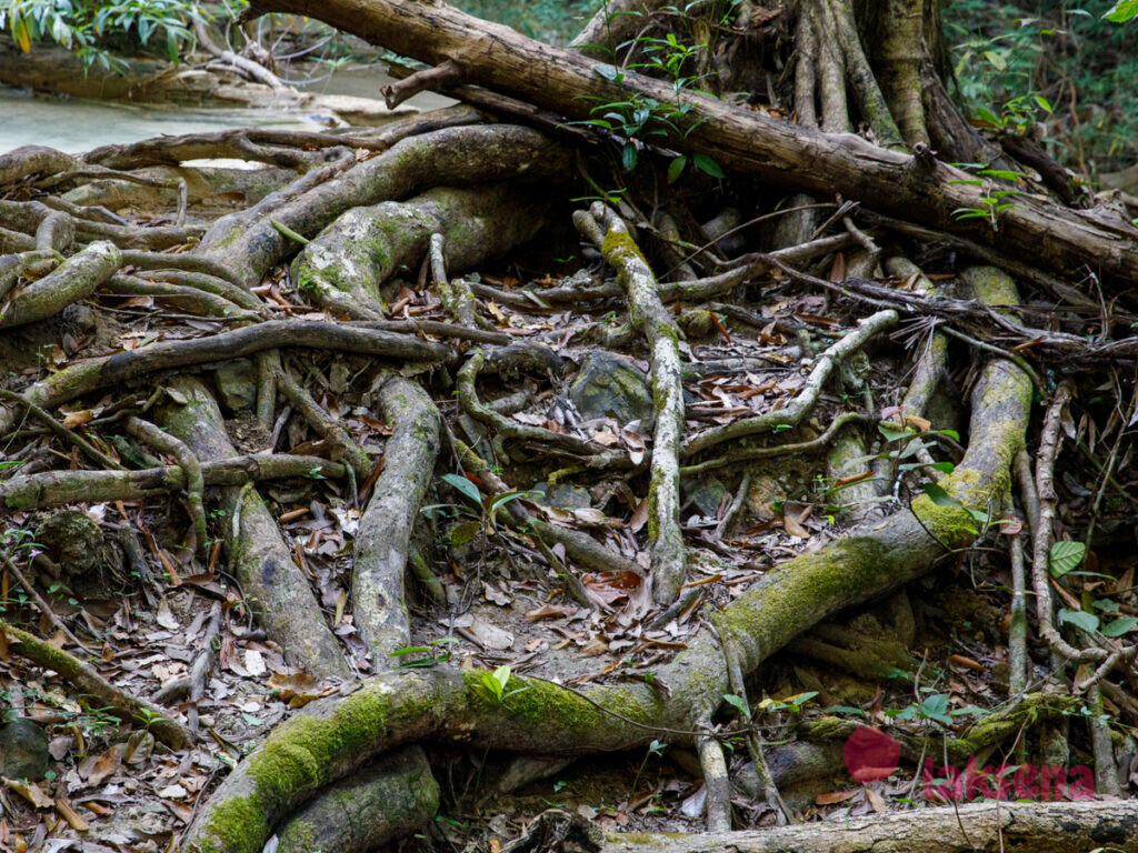 национальный парк эраван