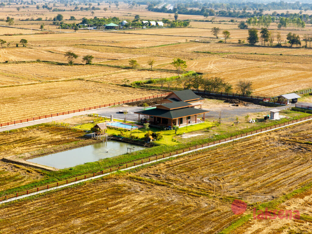 рисовые поля таиланд