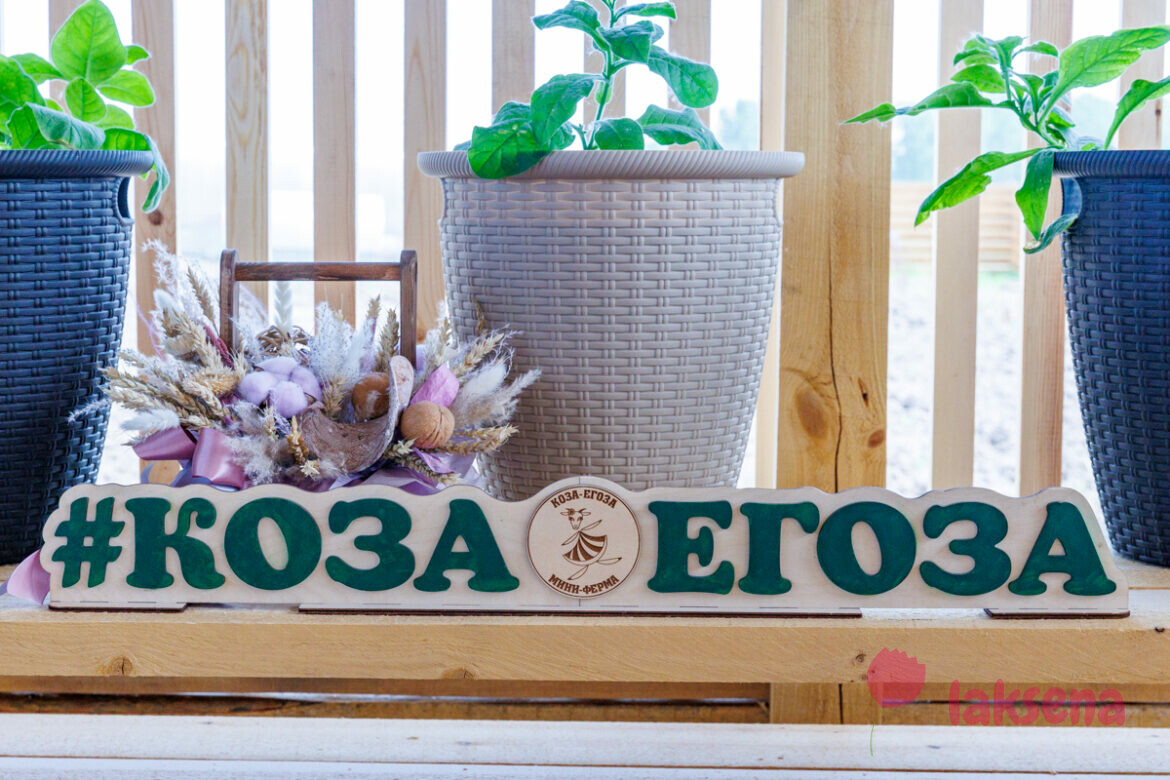 Мини-ферма Коза Егоза