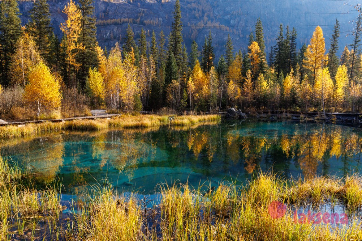 Гейзерное озеро на Горном Алтае