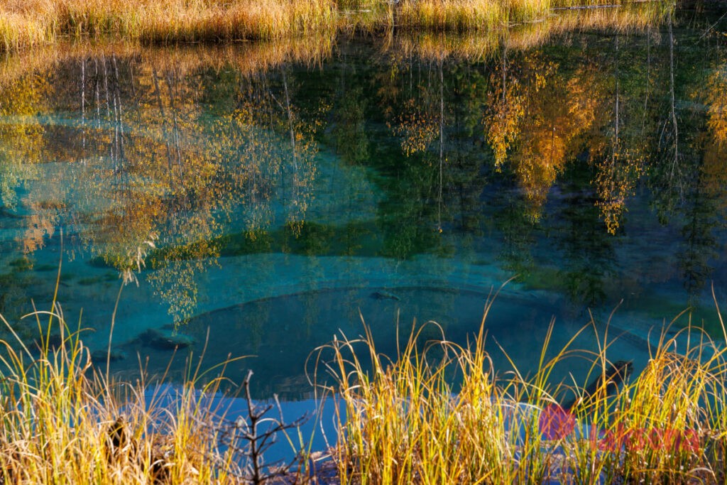 Гейзерное озеро на Горном Алтае