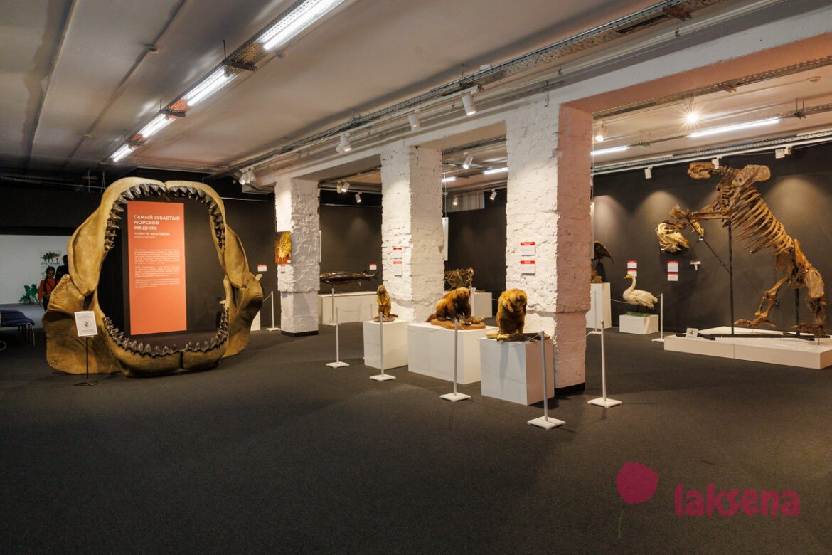 Выставка Самый-самый в мире животных