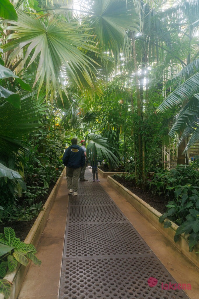 Королевские ботанические сады Кью (Kew Gardens)